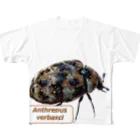 aomatuのヒメマルカツオブシムシ All-Over Print T-Shirt