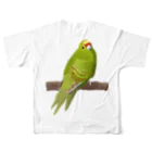 街のいろどりのキガシラアオハシインコ（背面プリント) フルグラフィックTシャツの背面