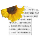 西麻布mingle✿ by花庫のウィキペディアより（ひまわり） フルグラフィックTシャツ