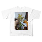 miyamiya　ショップの多肉植物 フルグラフィックTシャツの背面