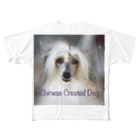 Kilara Dream Chinese Crested のチャイクレ つむぎバージョン フルグラフィックTシャツ