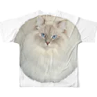 まんまる猫いれぶんのまんまる猫いれぶん フルグラフィックTシャツの背面