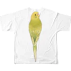 まめるりはことりの見返り美人セキセイインコちゃん【まめるりはことり】 フルグラフィックTシャツの背面