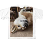 hyogo3000のMugi is Tanuki All-Over Print T-Shirt