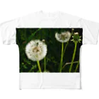 zzmatsudaのひっそりと咲くたんぽぽの風景 All-Over Print T-Shirt