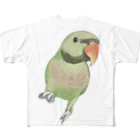 まめるりはことりのご機嫌なダルマインコちゃん【まめるりはことり】 All-Over Print T-Shirt