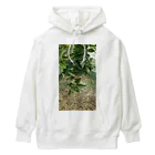 seikonisikooriの緑金柑の実 Heavyweight Hoodie