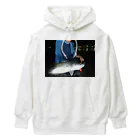 マシ魚の初期衝動 Heavyweight Hoodie