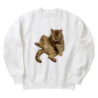 茶太郎🐱とモンブランの茶太郎のヤベッ！シリーズ Heavyweight Crew Neck Sweatshirt