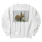 たかはしの絵のもののうさぎのうめちゃん Heavyweight Crew Neck Sweatshirt