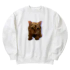 めんけ猫。の我が家の猫くんです。 Heavyweight Crew Neck Sweatshirt