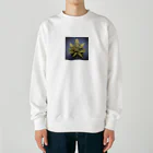 ハイライフコレクションズの42O_0091 （フォトゥオーナインティワン） Heavyweight Crew Neck Sweatshirt