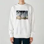 pict_tmfmの光 Heavyweight Crew Neck Sweatshirt