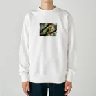 Kokoro-nagomu-Nagomiの鳥5　コザクラインコ Heavyweight Crew Neck Sweatshirt