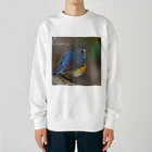 ふわふわフライトのルリオくん Heavyweight Crew Neck Sweatshirt