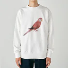 まめるりはことりのアキクサインコ　ピンク【まめるりはことり】 Heavyweight Crew Neck Sweatshirt