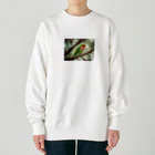 Kokoro-nagomu-Nagomiの鳥5　コザクラインコ Heavyweight Crew Neck Sweatshirt