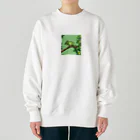 shoheiiwasaの動物園のカメレオン Heavyweight Crew Neck Sweatshirt