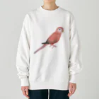 まめるりはことりのアキクサインコ　ピンク【まめるりはことり】 Heavyweight Crew Neck Sweatshirt