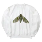 L_arctoaのウンモンスズメ幼虫と成虫 Heavyweight Crew Neck Sweatshirt