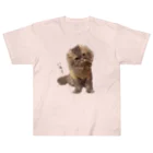 hoimisoの不服そうなペシャンコ猫のあおたろ（ひらがなver.その2） Heavyweight T-Shirt