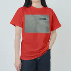 空屋　sorayakusakaの201602060941000 雪原の風紋 ヘビーウェイトTシャツ