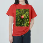 TシャツジャパンSUZURI店🇯🇵の光り輝くザクロのように ヘビーウェイトTシャツ