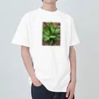 シアン猫の植物図鑑のアガベ ホリダ(加工Ｖｅｒ．) ヘビーウェイトTシャツ