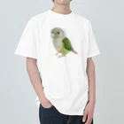 mariechan_koboの107 ウロコインコシナモン simple Heavyweight T-Shirt