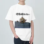 munteaの退屈 むぎねこ ヘビーウェイトTシャツ