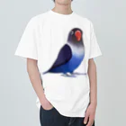 まめるりはことりのボタンインコ　おすましコバルトブルー【まめるりはことり】 ヘビーウェイトTシャツ