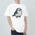 Cody the LovebirdのChubby Bird オキナインコ ヘビーウェイトTシャツ