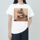 ゃすしのるいくん ヘビーウェイトTシャツ