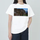 D-aerialの妙義山 ヘビーウェイトTシャツ