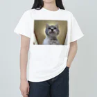 Vegeta_cat22の保護猫ベジータ　神 Heavyweight T-Shirt