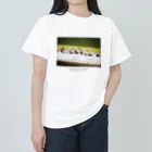 tamuraの日向亀 ヘビーウェイトTシャツ