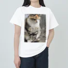 Uターン柴の立ち寝ネコ Heavyweight T-Shirt