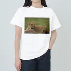 mayura_photoのサバンナのメスライオン Heavyweight T-Shirt