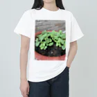 和み屋の新しい始まりを象徴する緑の新芽がプランターから顔を出しました🌱 ヘビーウェイトTシャツ