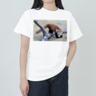 アレックス⚽🏀🍣のレッサーパンダ Heavyweight T-Shirt