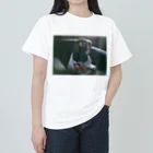 _ainalaend_のハイロウズなバロン　サブカル犬 Heavyweight T-Shirt