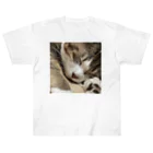 あゆのしおやきの猫(キジシロ) ヘビーウェイトTシャツ