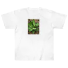シアン猫の植物図鑑のアガベ ホリダ(加工Ｖｅｒ．) ヘビーウェイトTシャツ