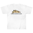 aarun_evolutionの奇跡シリーズ Heavyweight T-Shirt