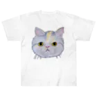 れいにゃん堂&れいにゃあ～と😺のチョークアートのエキゾチックショートヘア😺 Heavyweight T-Shirt