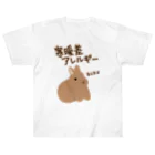 ミナミコアリクイ【のの】の寒暖差アレルギー【うさぎ】 ヘビーウェイトTシャツ