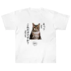 catnip factoryの不満顔の猫 Heavyweight T-Shirt