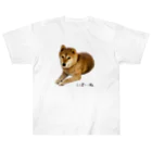 柴犬しばわんこhana873の伏せ？してる柴犬さん ヘビーウェイトTシャツ