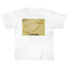 39Sのナス科の地上絵 Heavyweight T-Shirt