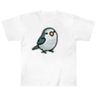 Cody the LovebirdのChubby Bird オキナインコ ヘビーウェイトTシャツ